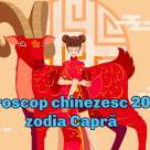 Horoscop chinezesc 2025 Capră: Un destin cu stea în frunte și tranziții subtile sub energia Șarpelui de Lemn