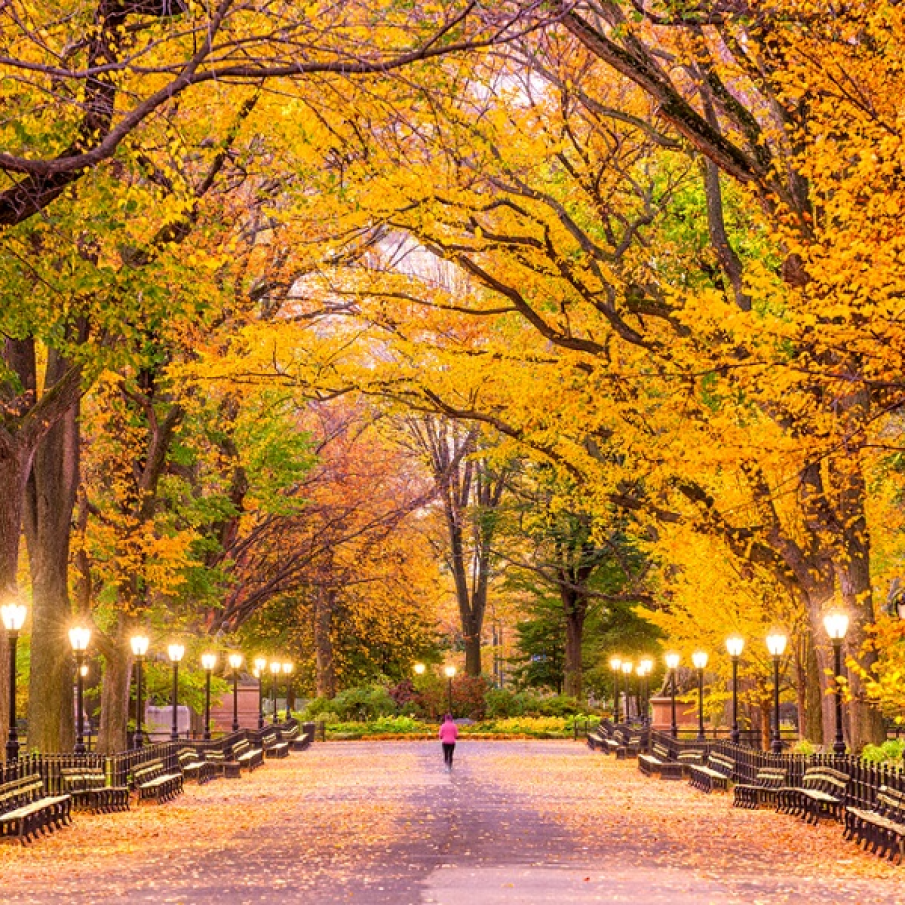 Toamna in New York (Central Park) 