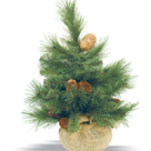 Cum sa ai cel mai frumos concediu alaturi de familia ta