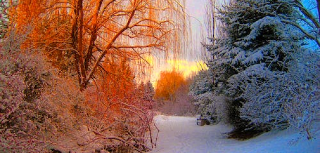 Cum ai descrie atmosfera generală a lunii noiembrie pentru tine?