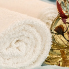 Beneficiile masajului terapeutic pentru sistemul imunitar 