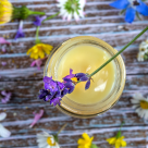 Lăptișor de matcă: Beneficii, proprietăți și utilizări în sănătate