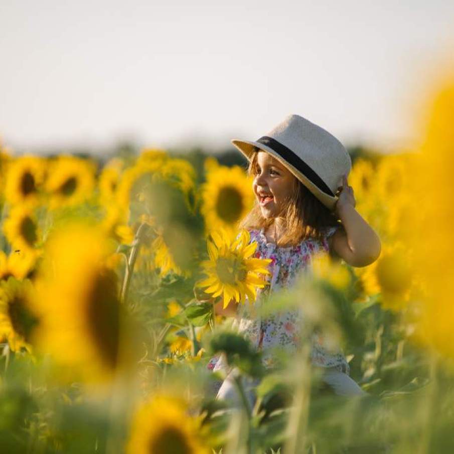 Fericire in galben pur