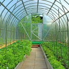 In lunile călduroase de vară și chiar pe tot parcursul anului, o plasa de umbrire poate economisi bani