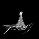 Testul psihologic al Bradutului de Craciun -poate cel mai simpatic test facut vreodata de Sarbatori!