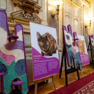 Miaunismul: un nou curent în artă inspirat de creativitatea pisicilor