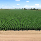 PepsiCo anunță proiecte de accelerare în domeniul agriculturii pentru a sprijini modul de trai al fermierilor, pentru a extinde gradul de inovare sustenabilă și pentru a accelera agricultura regenerativă pe tot globul