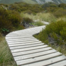 Iubirea, la fel ca ura