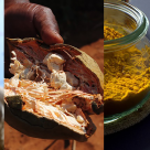 Baobab-ul, Copacul Vieții: beneficii și cum îl poți folosi în alimentație