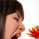 Alergiile de primavara