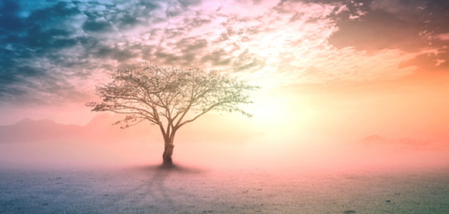 Care anotimp e preferatul tau?