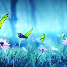 Fluturi de august și bucuria de-a iubi din nou