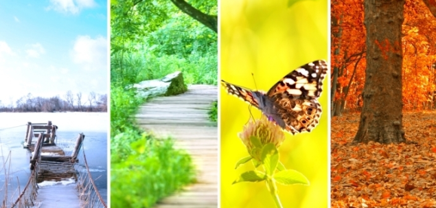 In ce anotimp te-ai nascut?