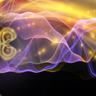 Cele 7 ADEVARURI FUNDAMENTALE despre viata si boli