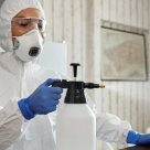 De ce este nevoie de dezinsecție birouri din ce in ce mai des?