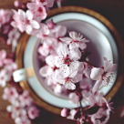 Ceai și cafea pentru momente din viață