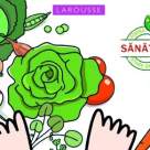 200 de alimente care ne vor binele 