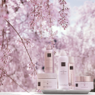 RITUALS COSMETICS DESCHIDE AL PATRULEA MAGAZIN DIN ȚARĂ, ÎN NORDUL CAPITALEI