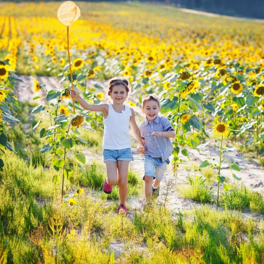 Pe locuri, fiti gata, START!