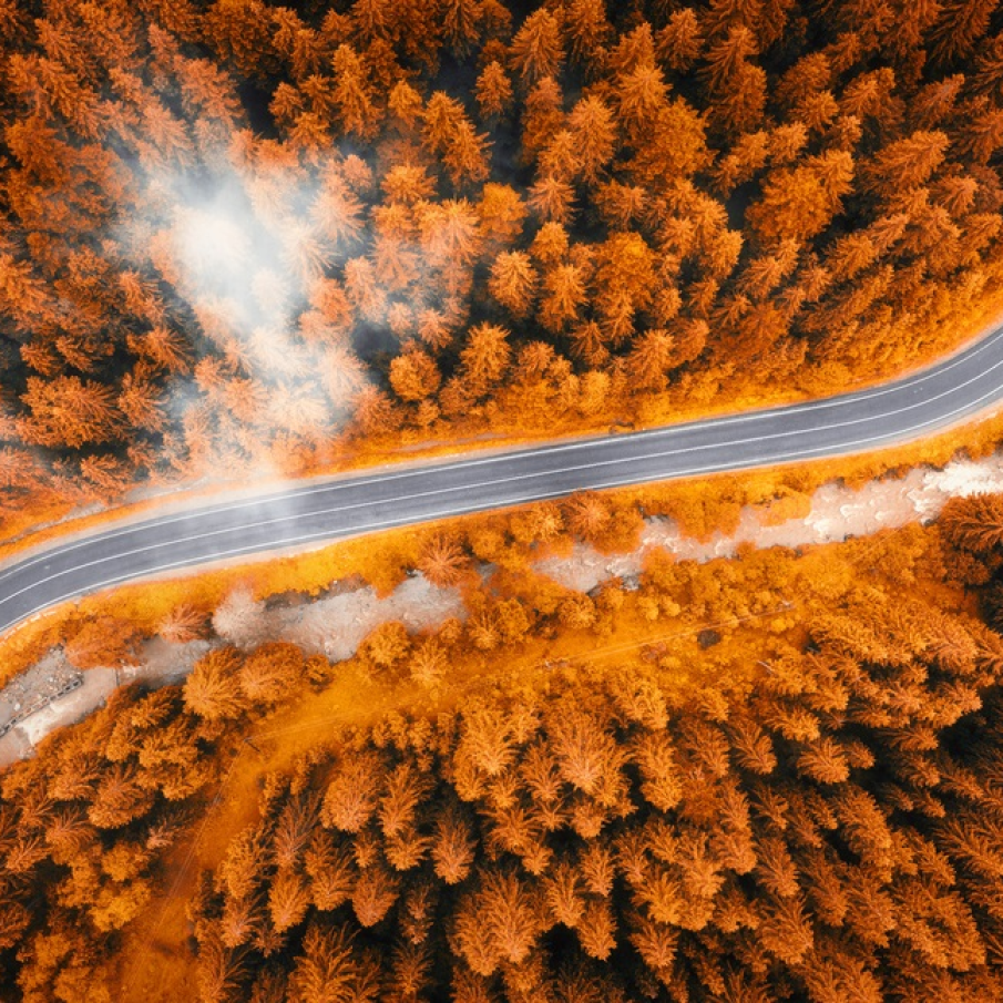 Vedere din drona: Nori pufosi si paduri de aur (de pin) pe crestele muntilor Carpati 