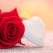 7 februarie - Ziua Trandafirilor! Ce semnificație are și cum o puteți sărbători?