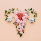 Ciclul menstrual ca ritm viu: plantele care susțin fiecare etapă a feminității
