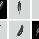 Jocul celor 9 semne: Alege o Pană Neagră și află ce mesaj are pentru tine îngerul tău păzitor în momentele tale cruciale