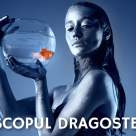 Horoscopul dragostei și al relațiilor în 2022 pentru zodia Pești: nativii caută apele liniștite și limpezi