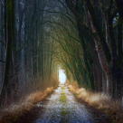 Fiecare sfârșit este un nou început!