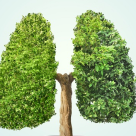 Respiră pentru viață, respiră pentru sănătate