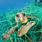 Marea Mediterană riscă să devină o mare de plastic