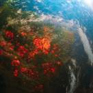 Astăzi este Ziua Suprasolicitării Planetei: În mai puțin de 7 luni, omenirea a consumat ceea ce Pământul reînnoiește în 12 luni.