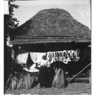 Cea mai veche IE din România va fi expusă la Art Safari!