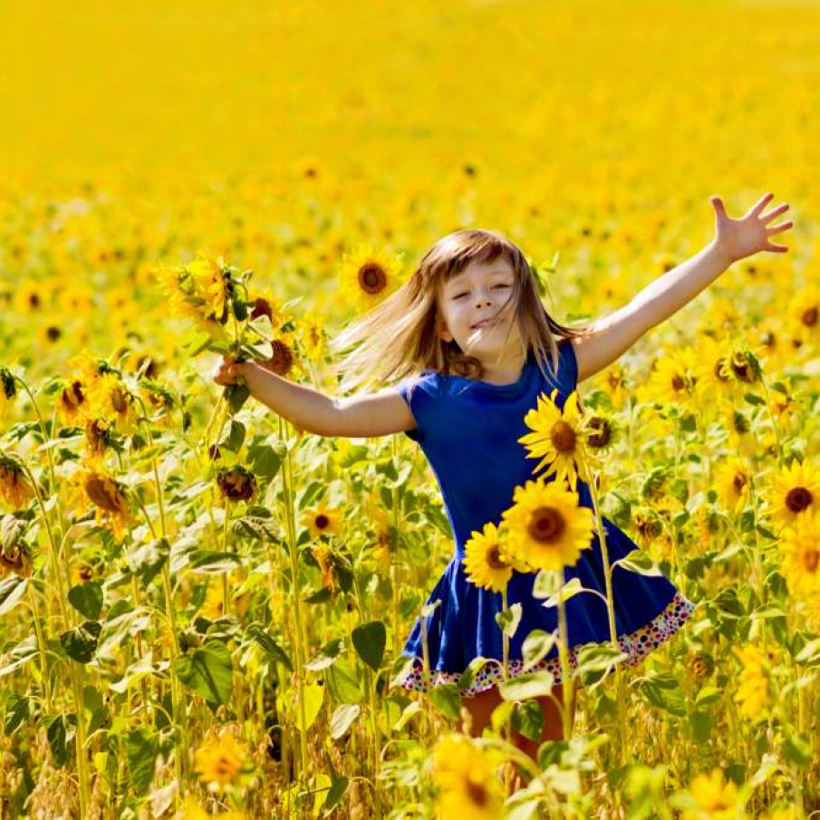 Alice în țara fericirii