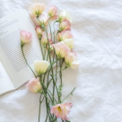 Top 5 carti pe sufletul femeilor 