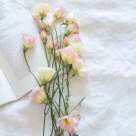 Top 5 carti pe sufletul femeilor 