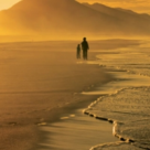 Mario Vargas Llosa si 3 carti care l-au adus aproape de Nobel