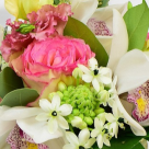 Flori pentru Mariile din viata ta!