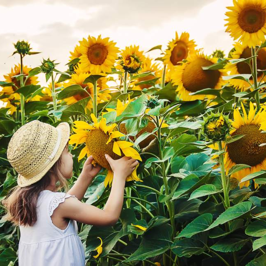 Pe încercate, pe gustate 
