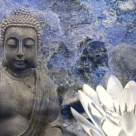 Horoscopul Zen-Osho al Primaverii 2014