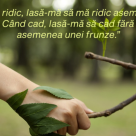 Singura noastră speranță de supraviețuire este să prețuim ce rămâne din Pământ. Citate de Wendell Berry despre sustenabilitate și protejarea Planetei care îți vor da de gândit