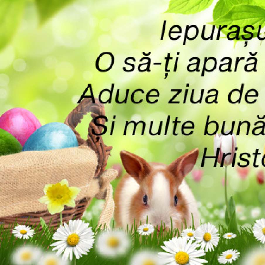 Urări hazlii de Paște: Felicitări de Paște cu iepuraș