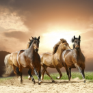 Testul de personalitate UIMITOR care dezvaluie totul despre viata ta!