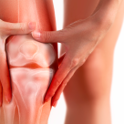 Tratamente naturiste și suplimente pentru articulații flexibile și fără dureri