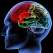A fost descoperita \'zona raului\' din creier. Ce spune despre PREDISPOZITIA GENETICA pentru VIOLENTA