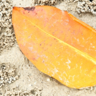 Voiam sa raman in septembrie 