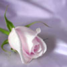 In cautarea partenerului si a iubirii care nu au fost 