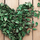 Inapoi la neiubire: Cum sa te Dezindragostesti de Cel care nu a fost sa fie 