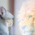 Cum să ai mai multă încredere în tine și în viitorul tău