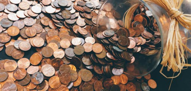 Care este pluralul cuvantului „moneda”? 